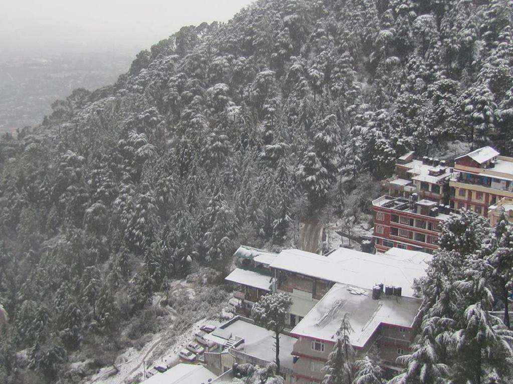 Hotel Deodar Villa Νταραμσάλα Εξωτερικό φωτογραφία